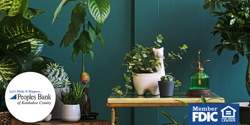 Freshen Up Your Home 